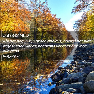 Picture 02 - Job 8:12 NLD - Als het nog in zijn groenigheid is, hoewel het - Bible Verse Picture