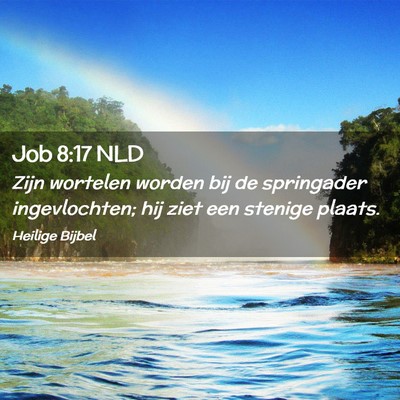 Picture 02 - Job 8:17 NLD - Zijn wortelen worden bij de springader - Bible Verse Picture
