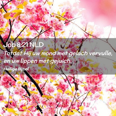 Picture 02 - Job 8:21 NLD - Totdat Hij uw mond met gelach vervulle, en uw - Bible Verse Picture