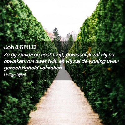 Picture 02 - Job 8:6 NLD - Zo gij zuiver en recht zijt, gewisselijk zal Hij - Bible Verse Picture