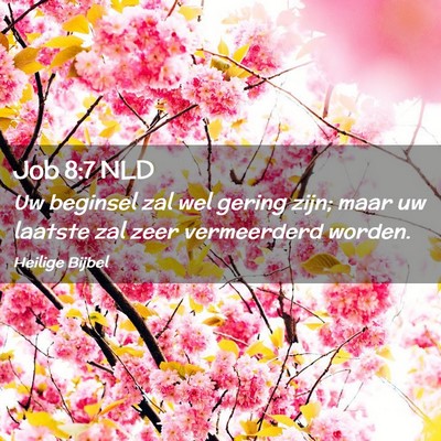 Picture 02 - Job 8:7 NLD - Uw beginsel zal wel gering zijn; maar uw laatste - Bible Verse Picture