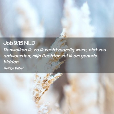 Picture 02 - Job 9:15 NLD - Denwelken ik, zo ik rechtvaardig ware, niet zou - Bible Verse Picture