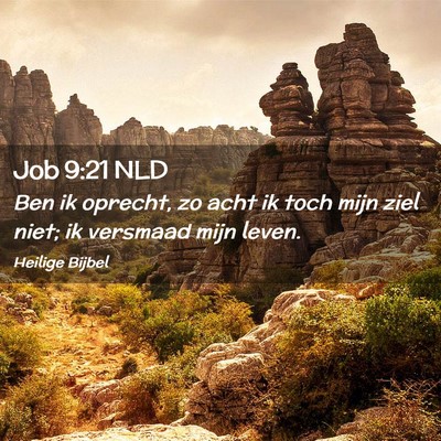 Picture 02 - Job 9:21 NLD - Ben ik oprecht, zo acht ik toch mijn ziel niet; - Bible Verse Picture