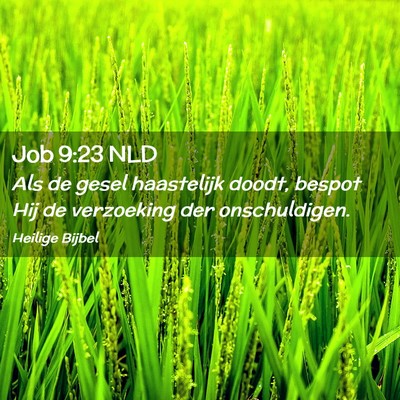 Picture 02 - Job 9:23 NLD - Als de gesel haastelijk doodt, bespot Hij de - Bible Verse Picture