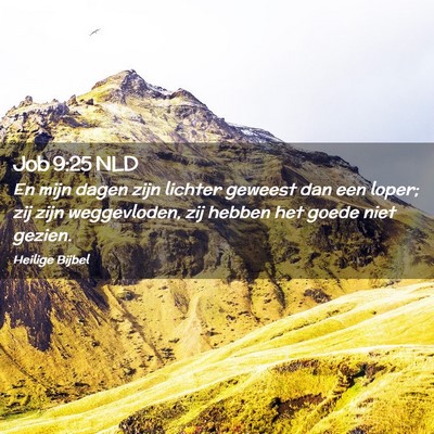 Picture 02 - Job 9:25 NLD - En mijn dagen zijn lichter geweest dan een loper; - Bible Verse Picture