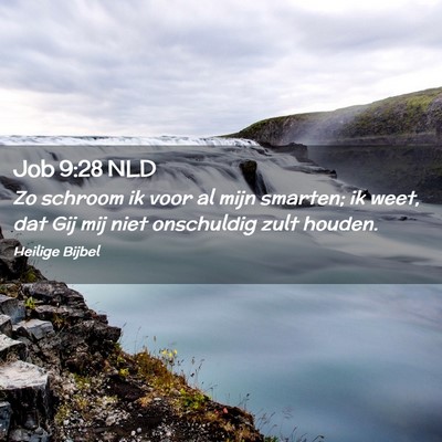 Picture 02 - Job 9:28 NLD - Zo schroom ik voor al mijn smarten; ik weet, dat - Bible Verse Picture
