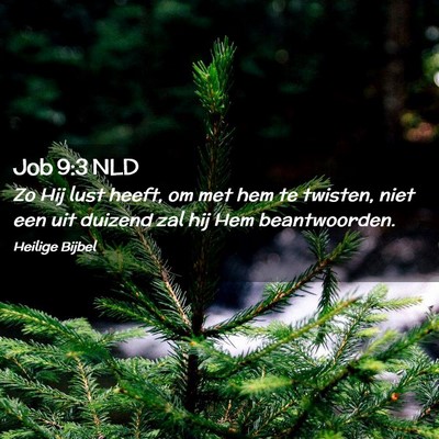 Picture 02 - Job 9:3 NLD - Zo Hij lust heeft, om met hem te twisten, niet - Bible Verse Picture