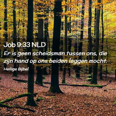 Picture 02 - Job 9:33 NLD - Er is geen scheidsman tussen ons, die zijn hand - Bible Verse Picture