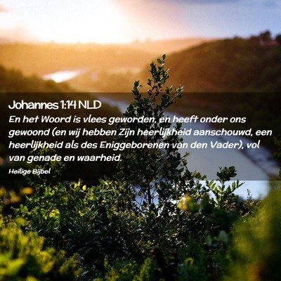Picture 02 - Johannes 1:14 NLD - En het Woord is vlees geworden, en heeft onder - Bible Verse Picture