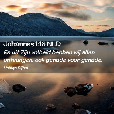 Picture 02 - Johannes 1:16 NLD - En uit Zijn volheid hebben wij allen ontvangen, - Bible Verse Picture