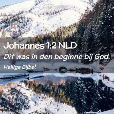 Picture 02 - Johannes 1:2 NLD - Dit was in den beginne bij - Bible Verse Picture
