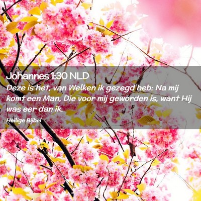 Picture 02 - Johannes 1:30 NLD - Deze is het, van Welken ik gezegd heb: Na mij - Bible Verse Picture