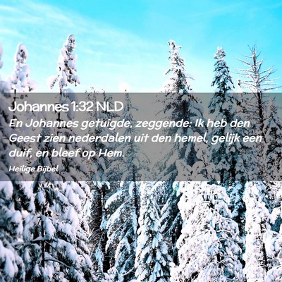 Picture 02 - Johannes 1:32 NLD - En Johannes getuigde, zeggende: Ik heb den Geest - Bible Verse Picture