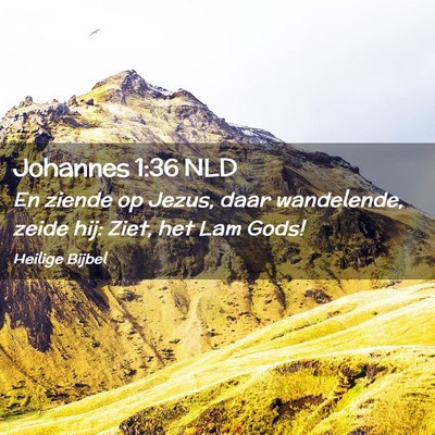 Picture 02 - Johannes 1:36 NLD - En ziende op Jezus, daar wandelende, zeide hij: - Bible Verse Picture