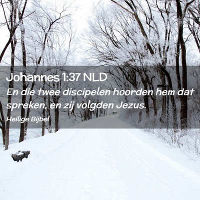 Picture 02 - Johannes 1:37 NLD - En die twee discipelen hoorden hem dat spreken, - Bible Verse Picture
