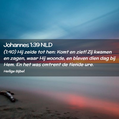 Picture 02 - Johannes 1:39 NLD - (1:40) Hij zeide tot hen: Komt en ziet! Zij - Bible Verse Picture