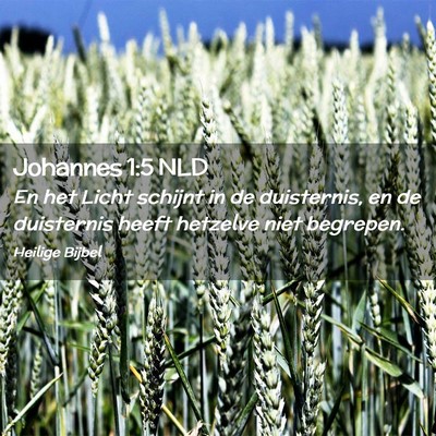 Picture 02 - Johannes 1:5 NLD - En het Licht schijnt in de duisternis, en de - Bible Verse Picture