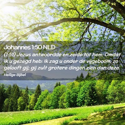 Picture 02 - Johannes 1:50 NLD - (1:51) Jezus antwoordde en zeide tot hem: Omdat - Bible Verse Picture