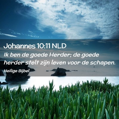 Picture 02 - Johannes 10:11 NLD - Ik ben de goede Herder; de goede herder stelt - Bible Verse Picture