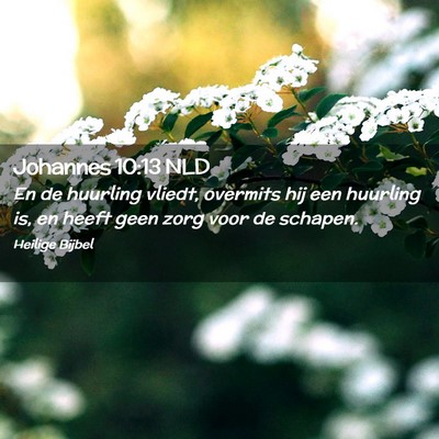 Picture 02 - Johannes 10:13 NLD - En de huurling vliedt, overmits hij een huurling - Bible Verse Picture