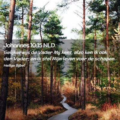 Picture 02 - Johannes 10:15 NLD - Gelijkerwijs de Vader Mij kent, alzo ken Ik ook - Bible Verse Picture