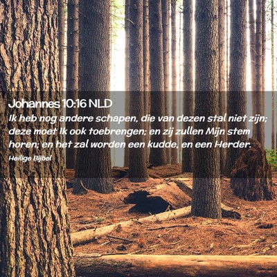 Picture 02 - Johannes 10:16 NLD - Ik heb nog andere schapen, die van dezen stal - Bible Verse Picture