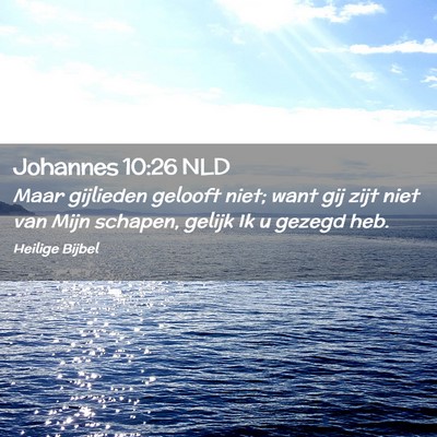 Picture 02 - Johannes 10:26 NLD - Maar gijlieden gelooft niet; want gij zijt niet - Bible Verse Picture