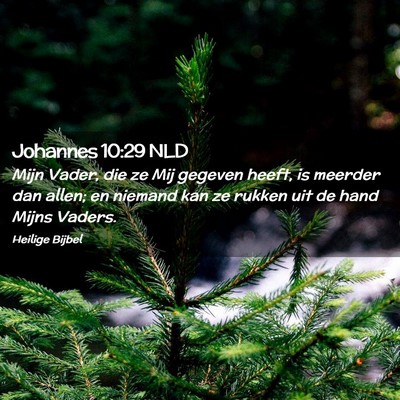 Picture 02 - Johannes 10:29 NLD - Mijn Vader, die ze Mij gegeven heeft, is meerder - Bible Verse Picture
