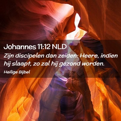 Picture 02 - Johannes 11:12 NLD - Zijn discipelen dan zeiden: Heere, indien hij - Bible Verse Picture