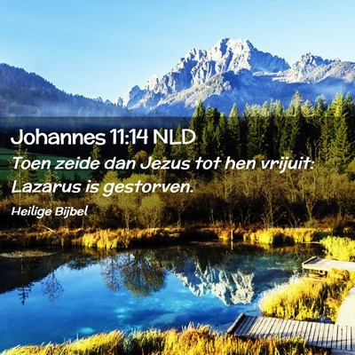 Picture 02 - Johannes 11:14 NLD - Toen zeide dan Jezus tot hen vrijuit: Lazarus is - Bible Verse Picture