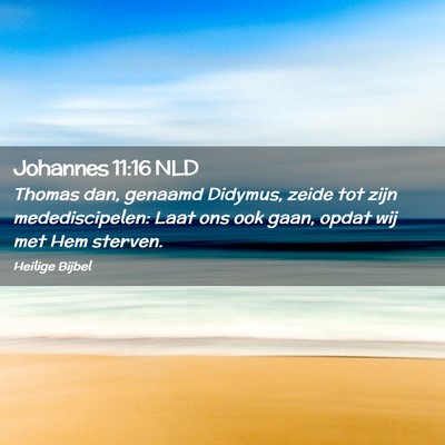Picture 02 - Johannes 11:16 NLD - Thomas dan, genaamd Didymus, zeide tot zijn - Bible Verse Picture