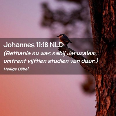 Picture 02 - Johannes 11:18 NLD - (Bethanie nu was nabij Jeruzalem, omtrent - Bible Verse Picture