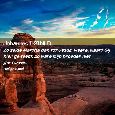 Picture 02 - Johannes 11:21 NLD - Zo zeide Martha dan tot Jezus: Heere, waart Gij - Bible Verse Picture