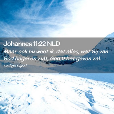 Picture 02 - Johannes 11:22 NLD - Maar ook nu weet ik, dat alles, wat Gij van God - Bible Verse Picture