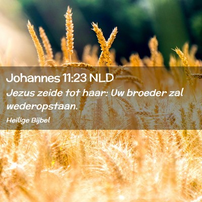 Picture 02 - Johannes 11:23 NLD - Jezus zeide tot haar: Uw broeder zal - Bible Verse Picture