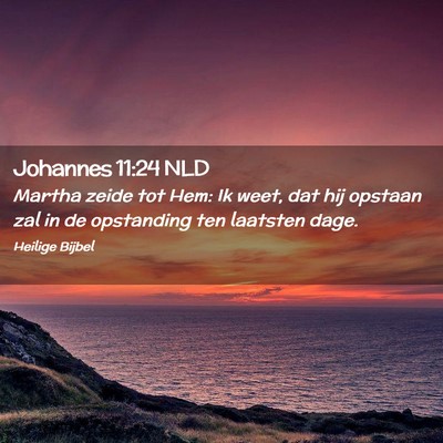 Picture 02 - Johannes 11:24 NLD - Martha zeide tot Hem: Ik weet, dat hij opstaan - Bible Verse Picture