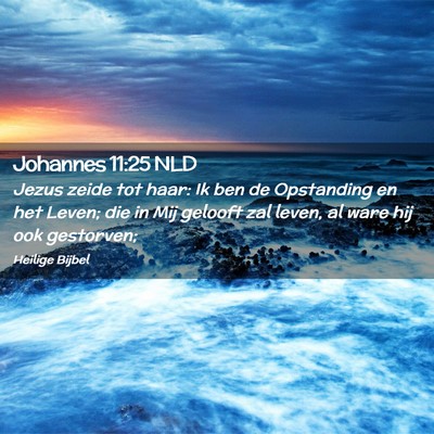 Picture 02 - Johannes 11:25 NLD - Jezus zeide tot haar: Ik ben de Opstanding en het - Bible Verse Picture