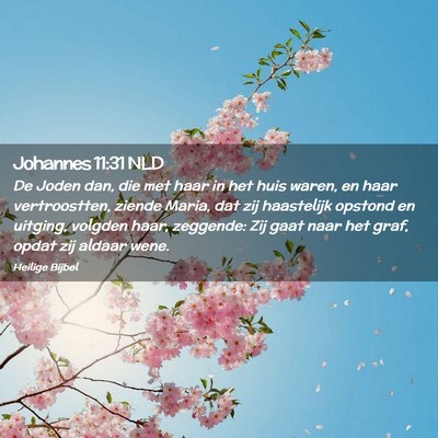 Picture 02 - Johannes 11:31 NLD - De Joden dan, die met haar in het huis waren, en - Bible Verse Picture