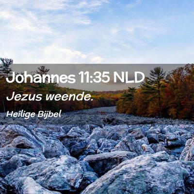 Picture 02 - Johannes 11:35 NLD - Jezus - Bible Verse Picture