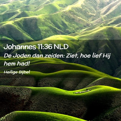 Picture 02 - Johannes 11:36 NLD - De Joden dan zeiden: Ziet, hoe lief Hij hem - Bible Verse Picture