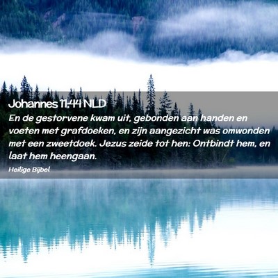 Picture 02 - Johannes 11:44 NLD - En de gestorvene kwam uit, gebonden aan handen en - Bible Verse Picture