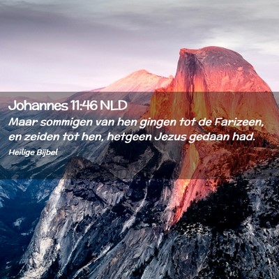 Picture 02 - Johannes 11:46 NLD - Maar sommigen van hen gingen tot de Farizeen, en - Bible Verse Picture