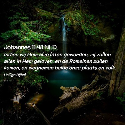Picture 02 - Johannes 11:48 NLD - Indien wij Hem alzo laten geworden, zij zullen - Bible Verse Picture