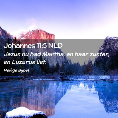 Picture 02 - Johannes 11:5 NLD - Jezus nu had Martha, en haar zuster, en Lazarus - Bible Verse Picture