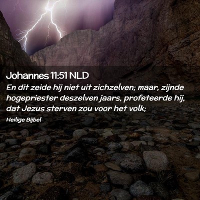 Picture 02 - Johannes 11:51 NLD - En dit zeide hij niet uit zichzelven; maar, - Bible Verse Picture