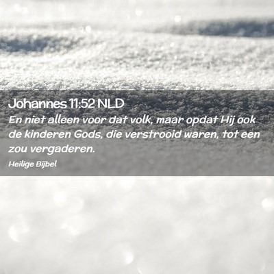 Picture 02 - Johannes 11:52 NLD - En niet alleen voor dat volk, maar opdat Hij ook - Bible Verse Picture