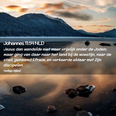 Picture 02 - Johannes 11:54 NLD - Jezus dan wandelde niet meer vrijelijk onder de - Bible Verse Picture