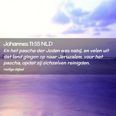 Picture 02 - Johannes 11:55 NLD - En het pascha der Joden was nabij, en velen uit - Bible Verse Picture