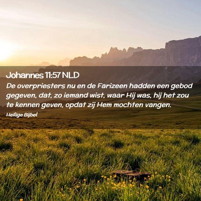 Picture 02 - Johannes 11:57 NLD - De overpriesters nu en de Farizeen hadden een - Bible Verse Picture