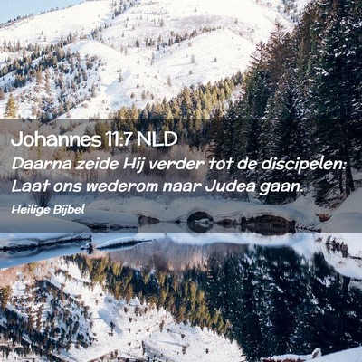 Picture 02 - Johannes 11:7 NLD - Daarna zeide Hij verder tot de discipelen: Laat - Bible Verse Picture